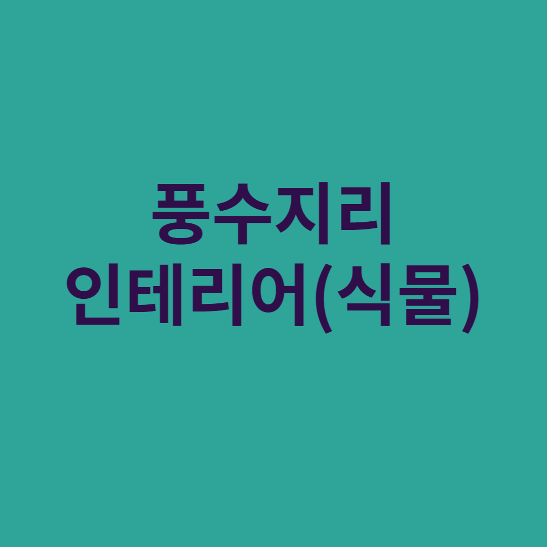 풍수지리 인테리어(식물) 썸네일