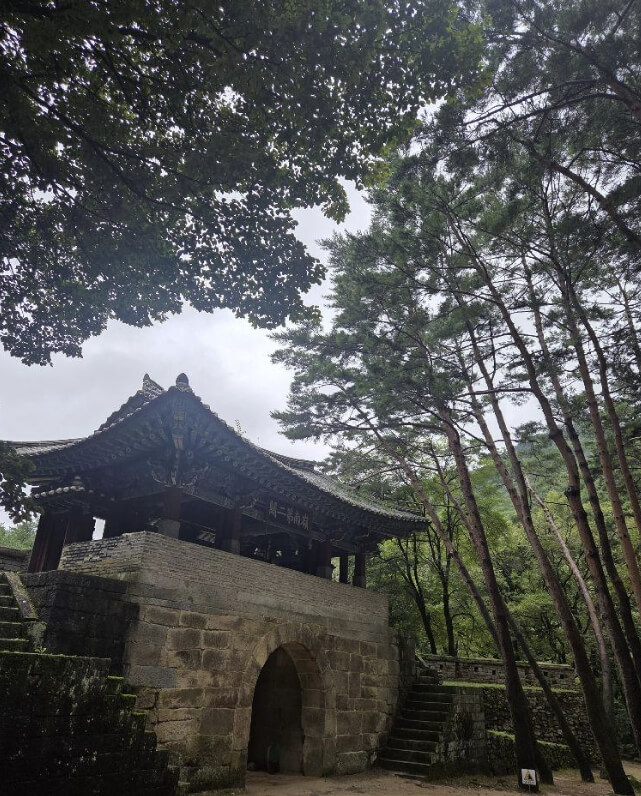 숲길 걷기 좋은 여행지 TOP 5 추천