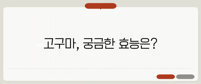 고구마효능은? 맛도 건강도 좋은 고구마! 이런분은 무조건 드세요!