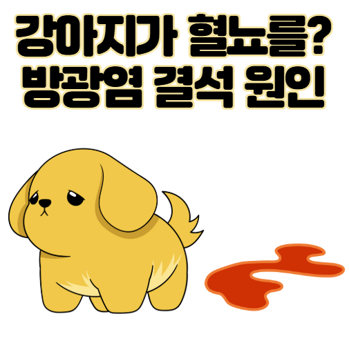 강아지가 혈뇨를? 방광염과 결석 원인, 증상, 예방법 총정리