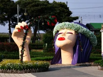 오늘이 아니라면 최적의 개화 시기는 언제인지 곡성세계장미축제에서 확인하세요_6