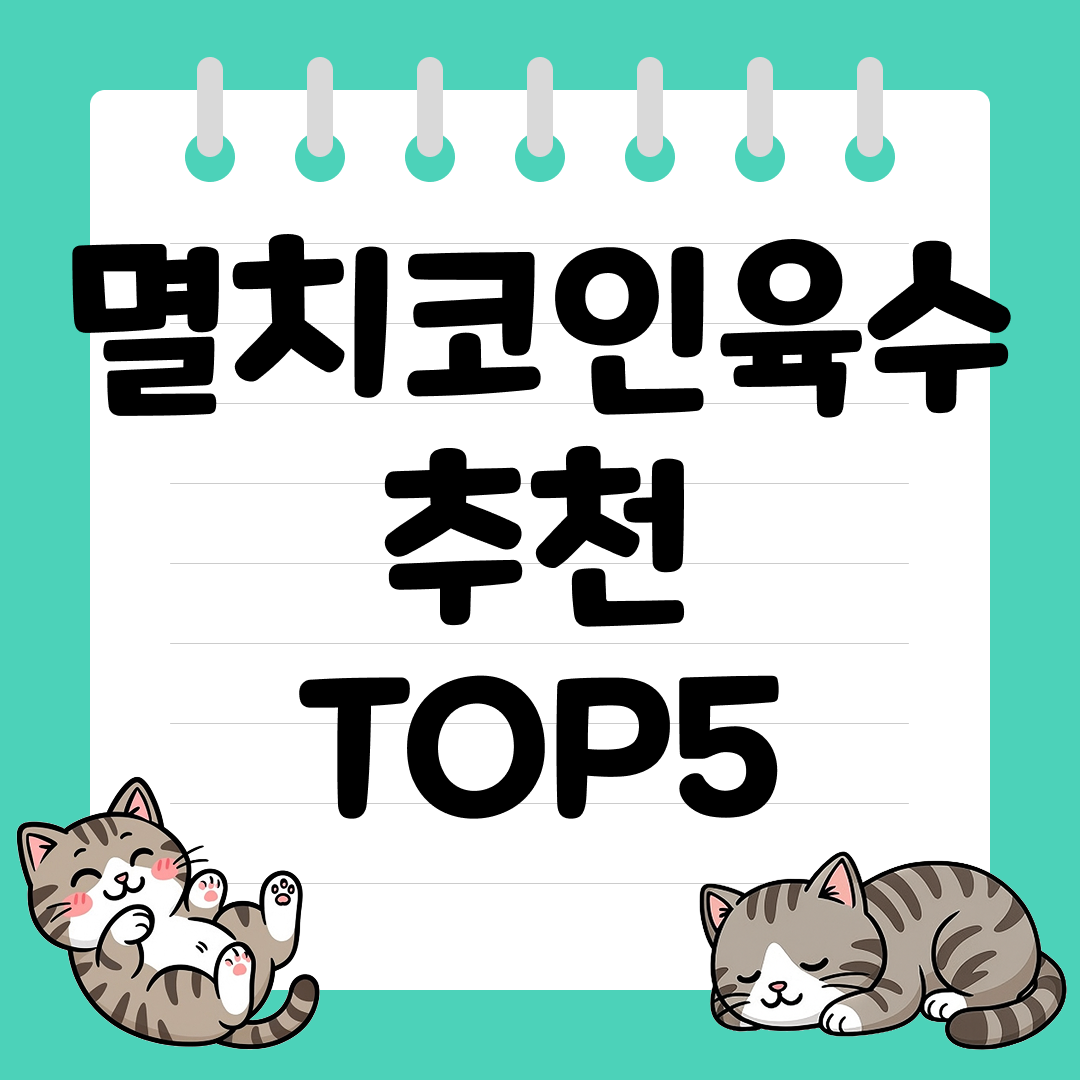 국물 요리가 쉬워지는 멸치코인육수 추천 순위 TOP5
