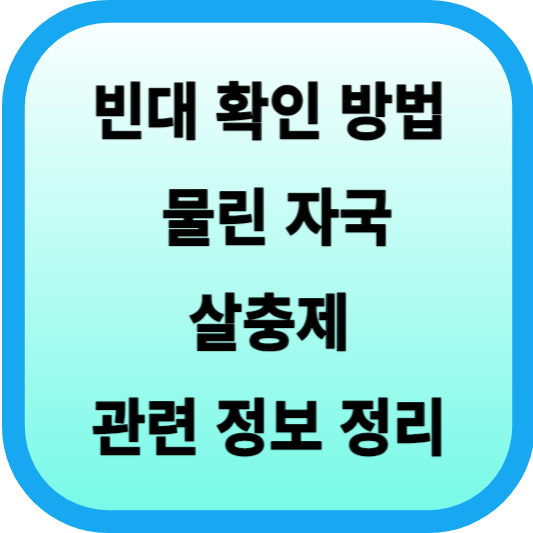 빈대 확인 방법, 물린 자국, 살충제 등 관련 정보 정리 섬네일
