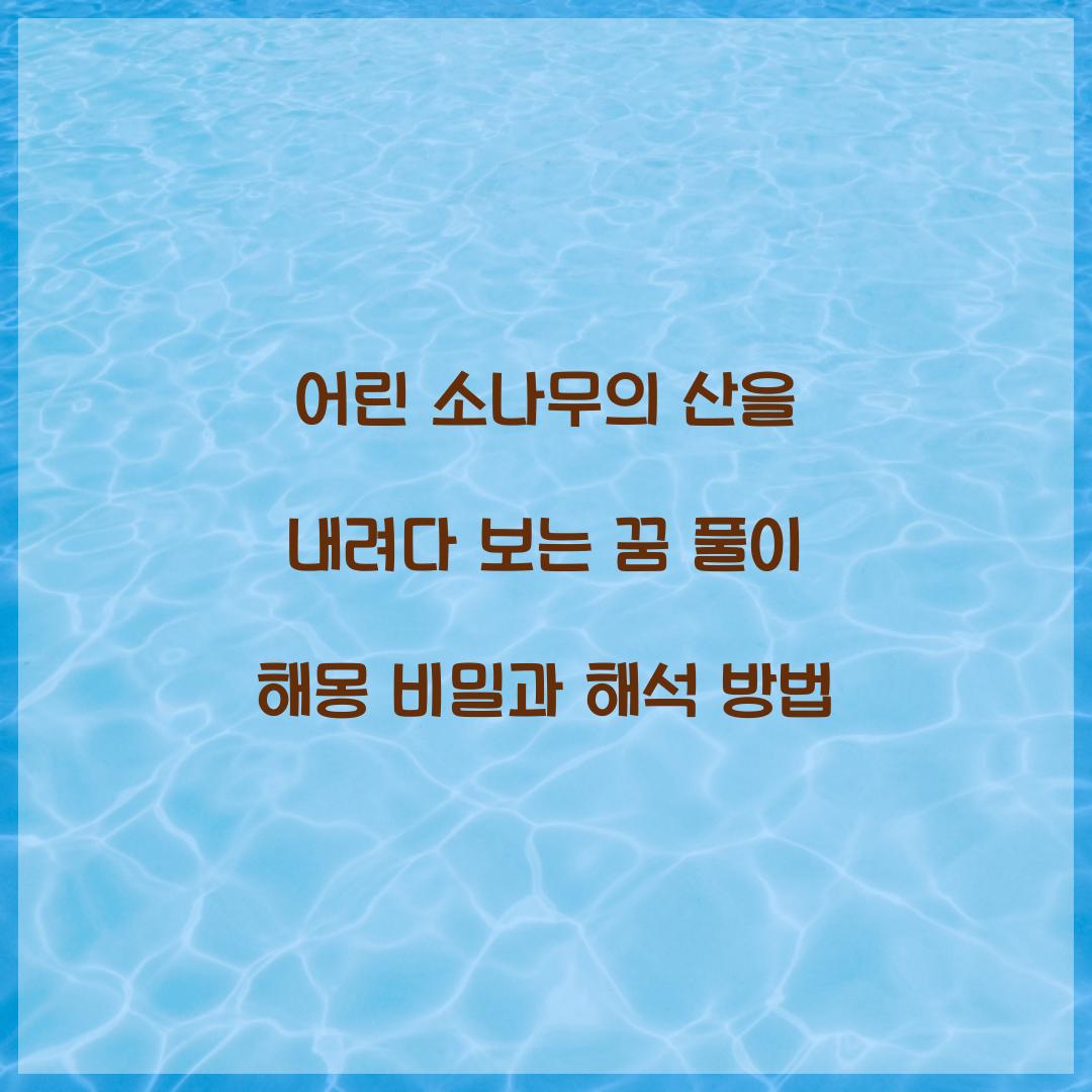 어린 소나무의 산을 내려다 보는 꿈 풀이 해몽 해석