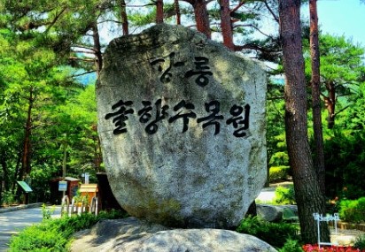 강릉-솔향수목원