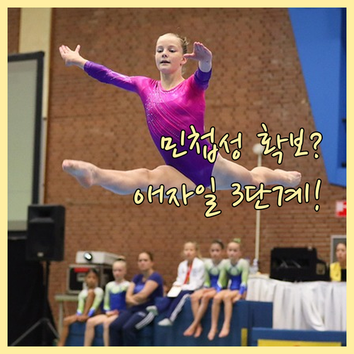 비즈니스 민첩성 확보를 위한 애자일 ..