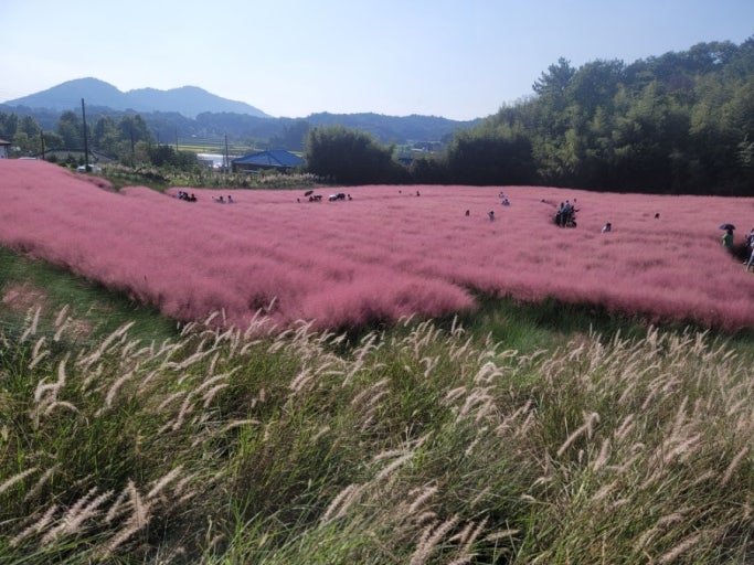 고창 가볼만한곳 베스트10