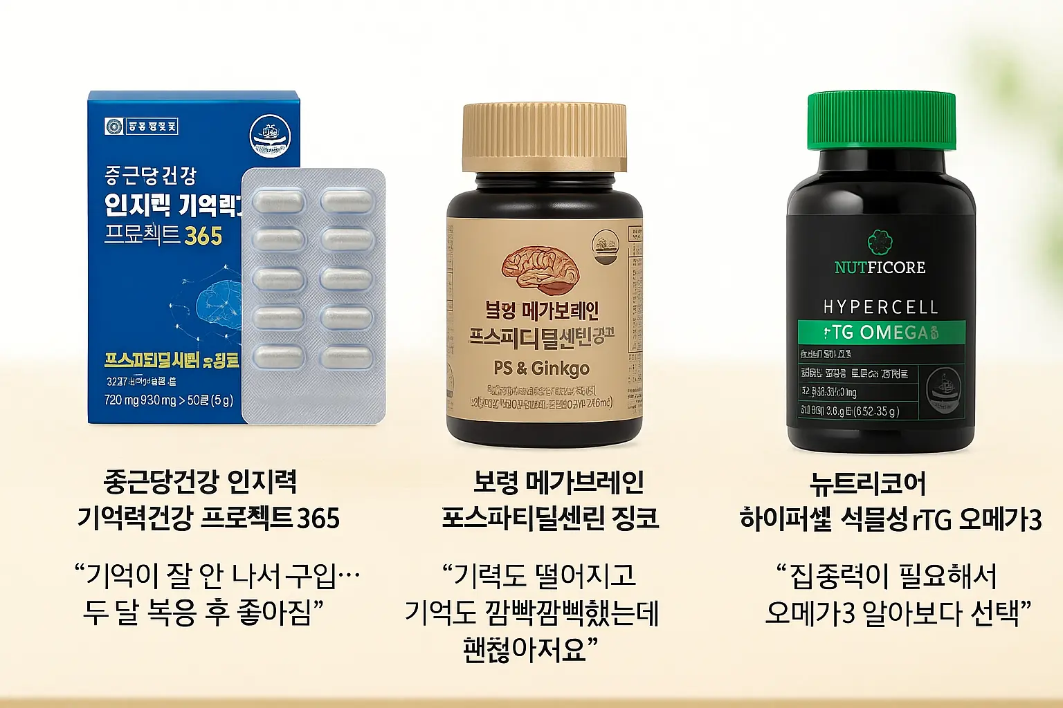 뇌 건강 보조제 best3