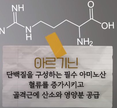 아르기닌 설명