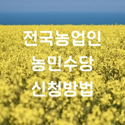 농민수당