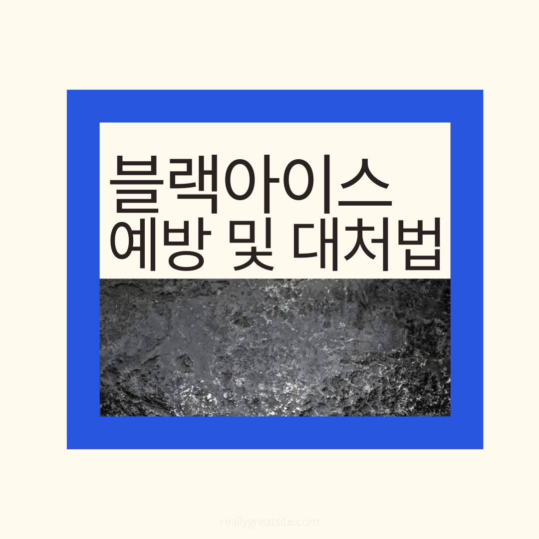 블랙아이스 사고 예방 및 대처법 썸네일