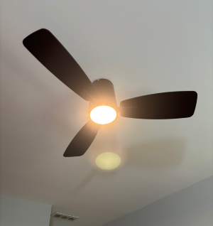 서재에 설치한 Atolit 42-Inch Ceiling Fan