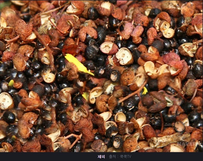 산초와 제피의 차이점