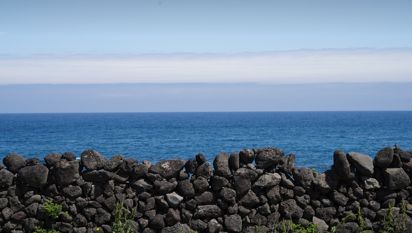 제주도 현무암 바다 사진