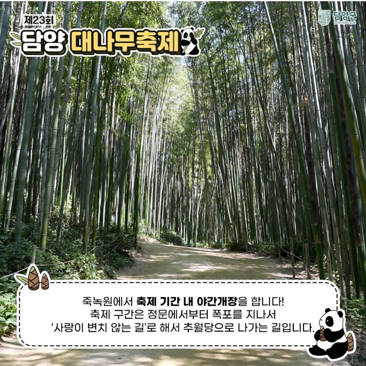 담양 대나무축제