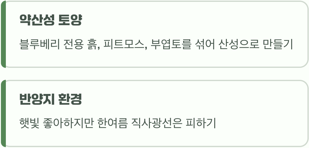 고향 집을 만들어주세요 (흙과 햇빛)