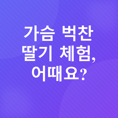 창녕 딸기 체험_1