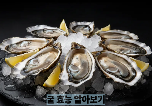 굴 효능 알아보기