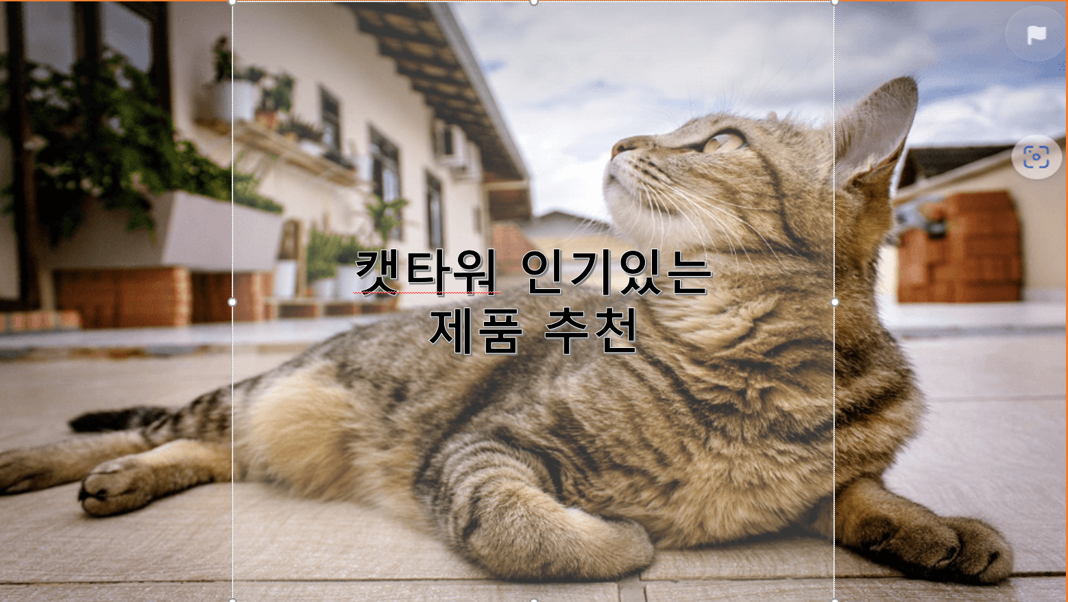 캣타워 인기 제품 추천