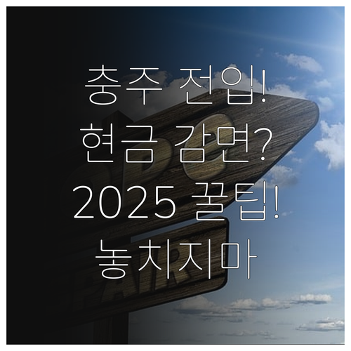 2025 충주 전입자 맞춤형 지원 현..