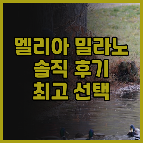 멜리아 밀라노 후기: 고급스러움과 편..