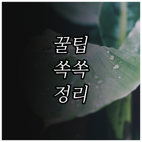 2025 경기도 가정폭력 피해자 의료..