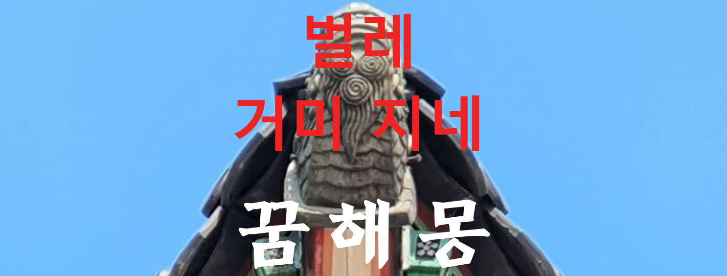 꿈해몽
