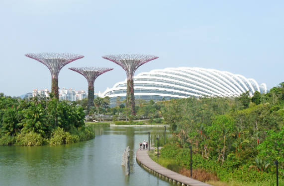 싱가포르 여행 준비물