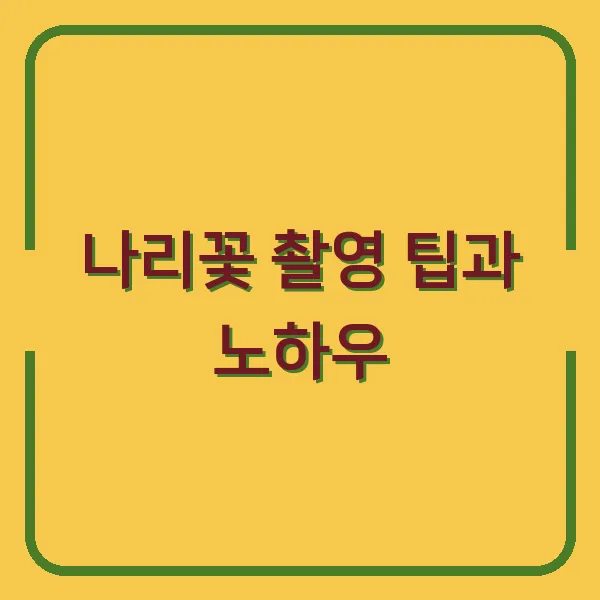 나리꽃 촬영 팁과 노하우