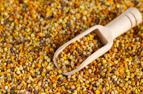 프로폴리스 효능&amp;#44; 부작용 총정리 (2024ver)