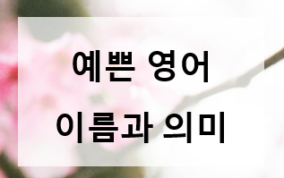 예쁜 영어 이름과 의미, 닉네임, 이름짖기