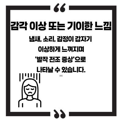 뇌전증 증상