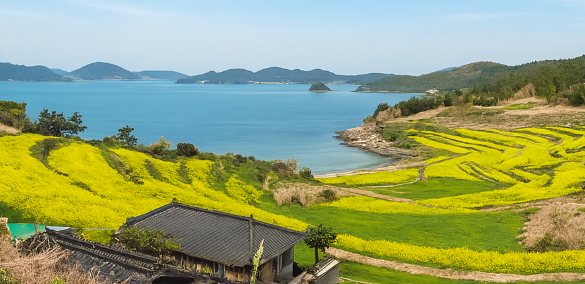 청산도