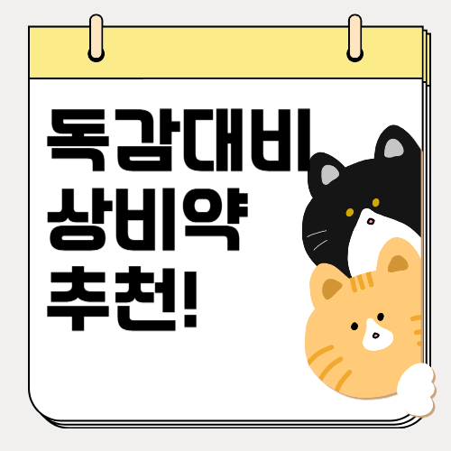 독감 대비 일반 감기약 추천! 기침약 추천 BEST3