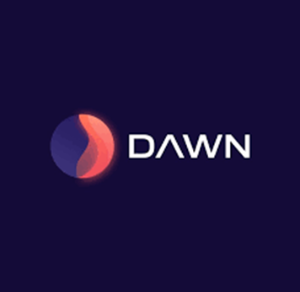 던프로토콜(DAWN) 코인의 개념 방식 특징 투자전망