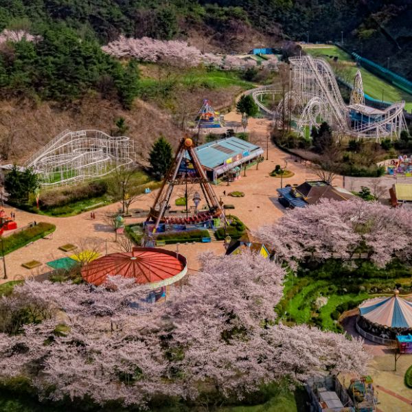 광주패밀리랜드