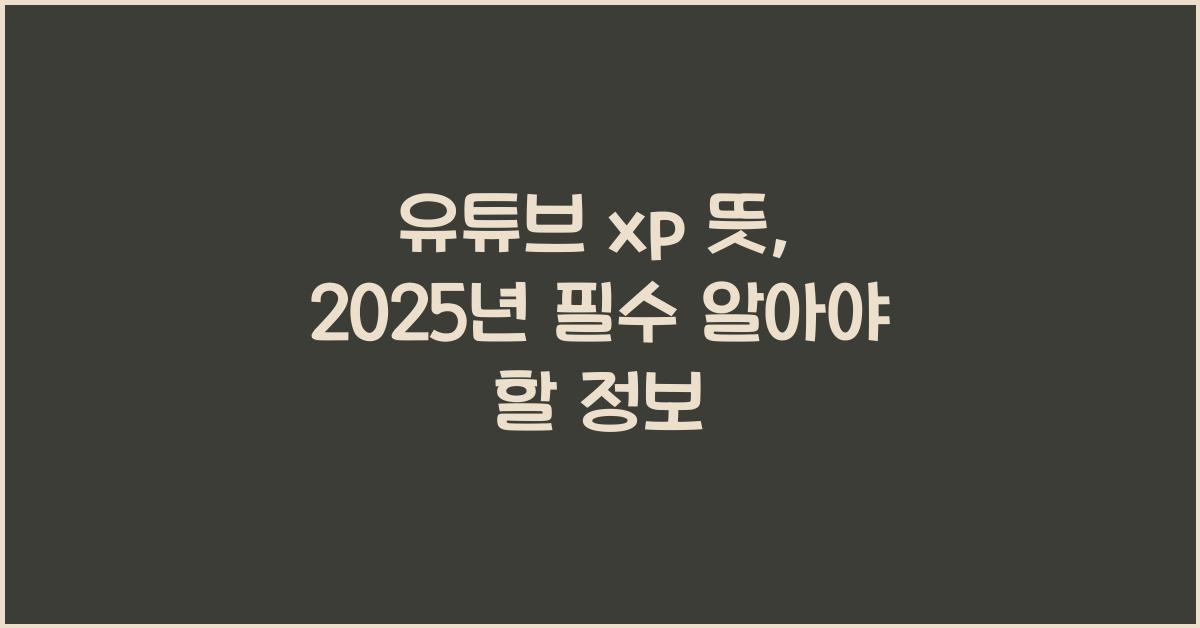 유튜브 xp 뜻