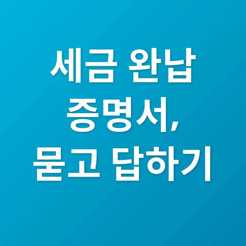 세금 완납 증명_4
