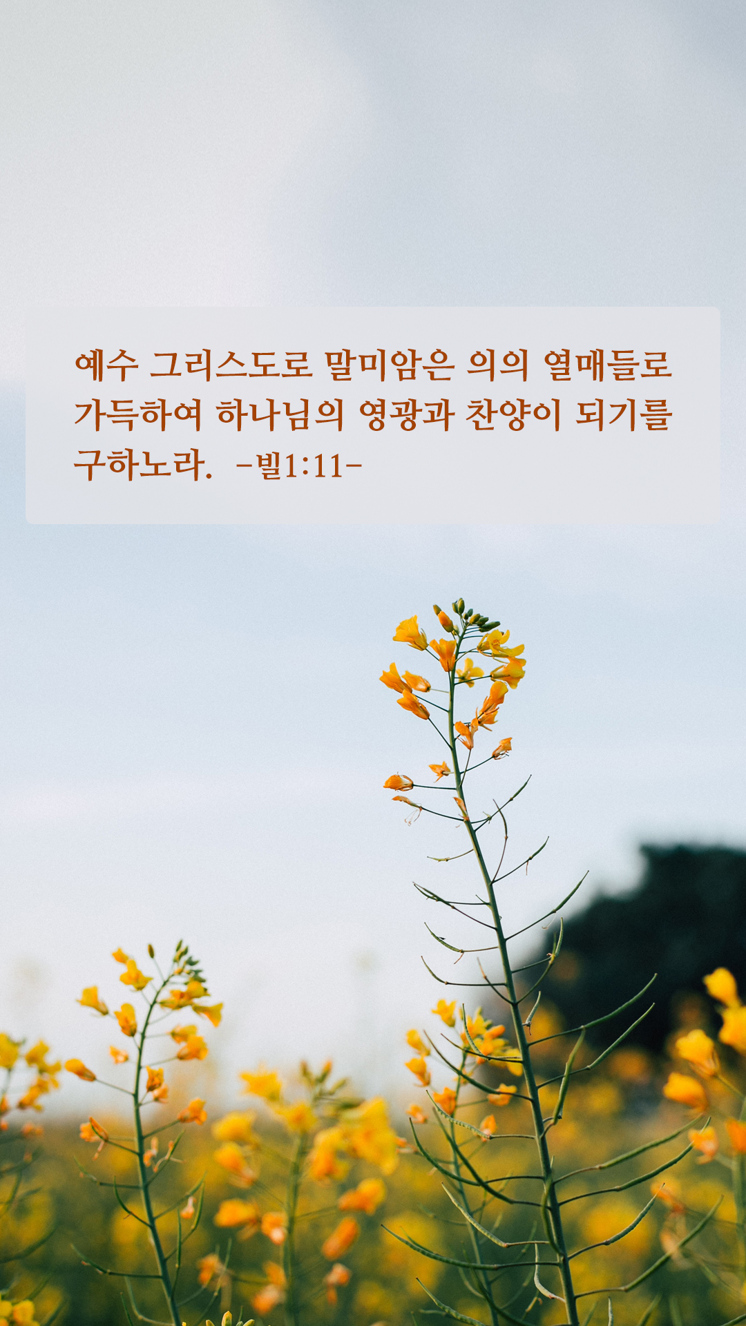 좋은성결구절 배경화면