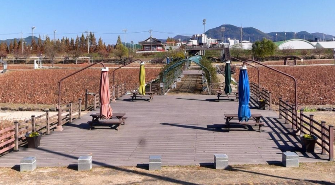 함안 아라연꽃테마공원입구