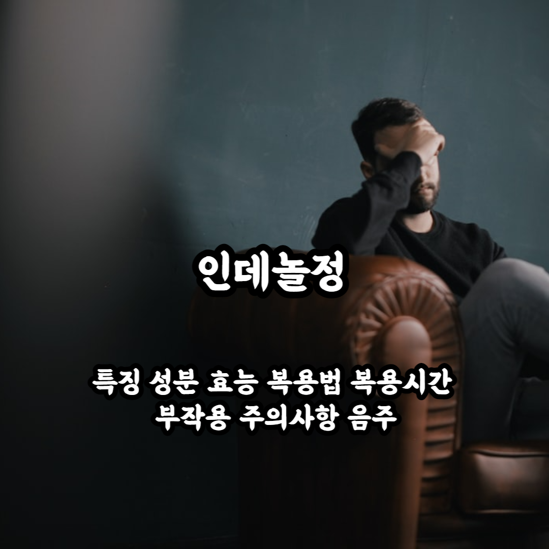 인데놀정 블로그 썸네일