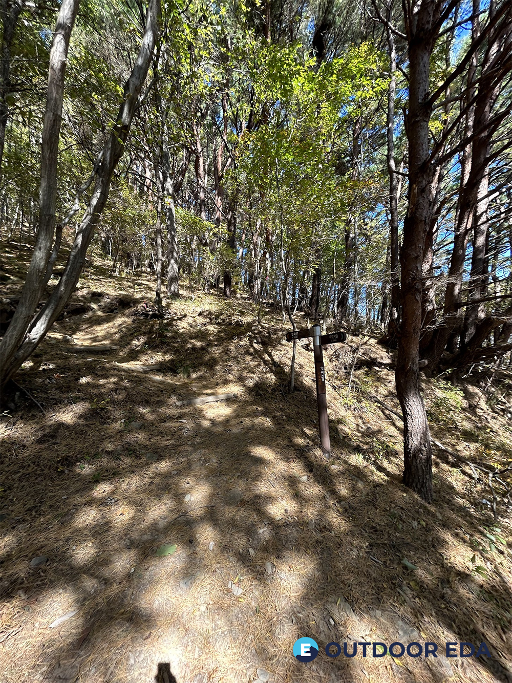 영축산 등산로 임도길