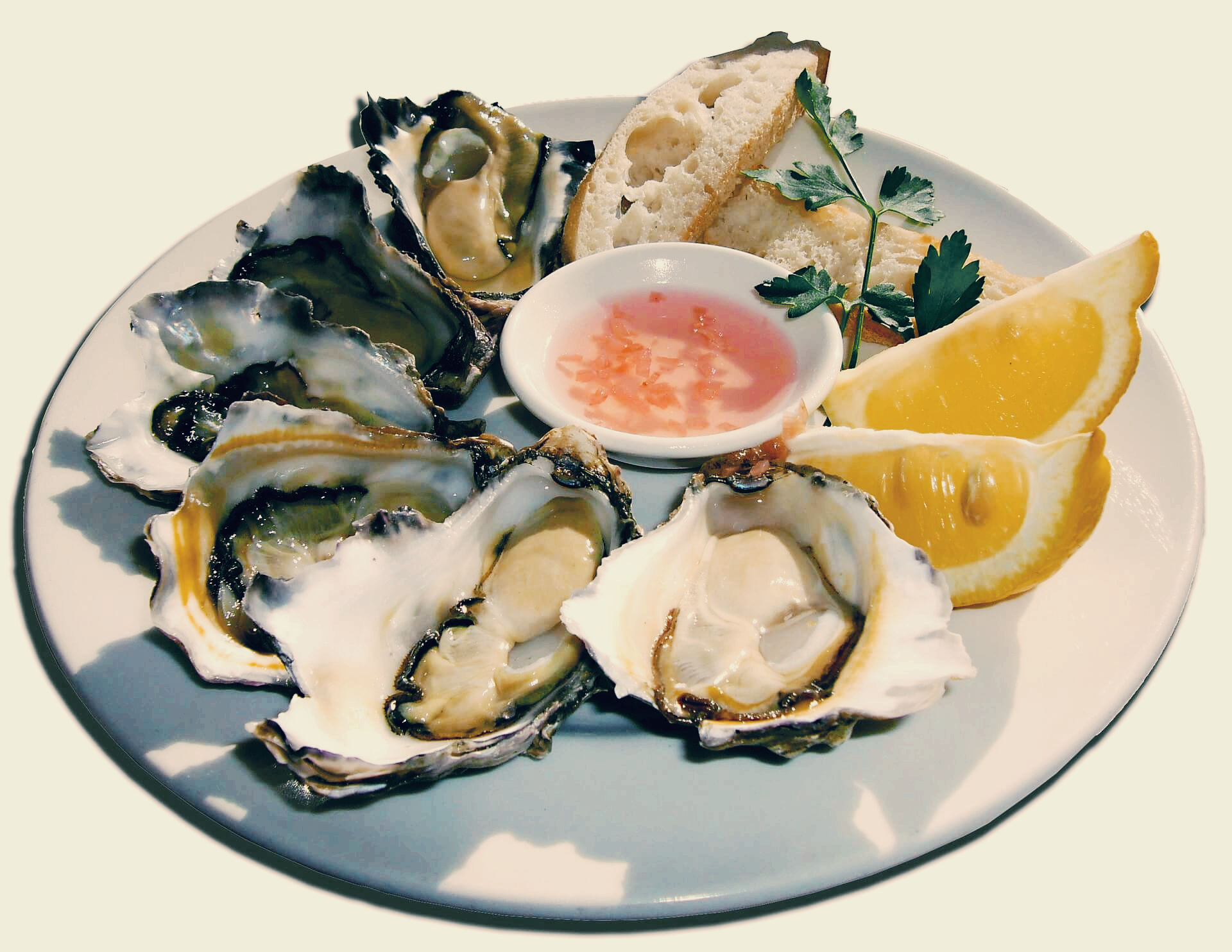 제철굴, 영양만점굴