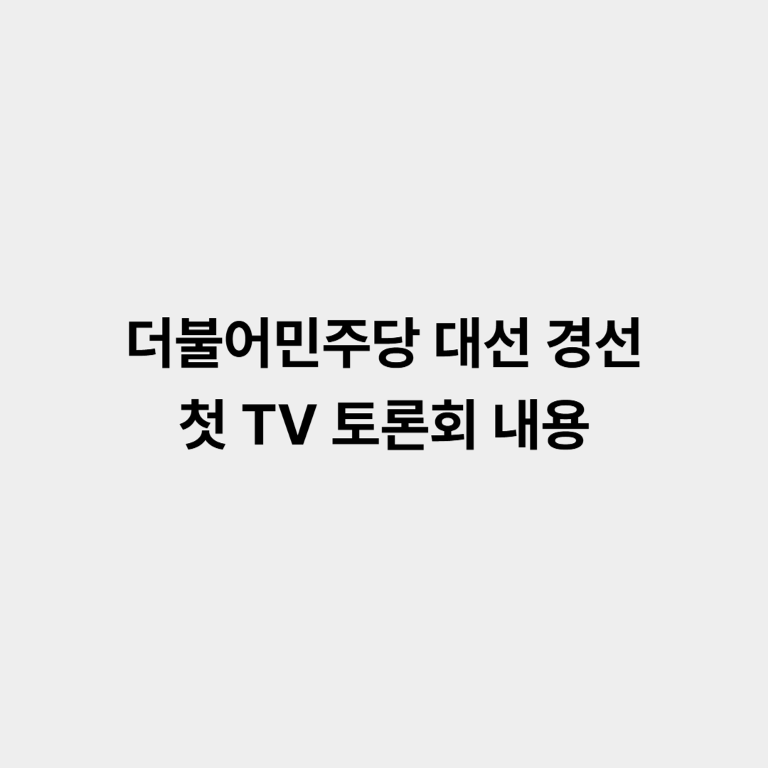 더불어민주당 대선 경선 첫 TV 토론회 내용