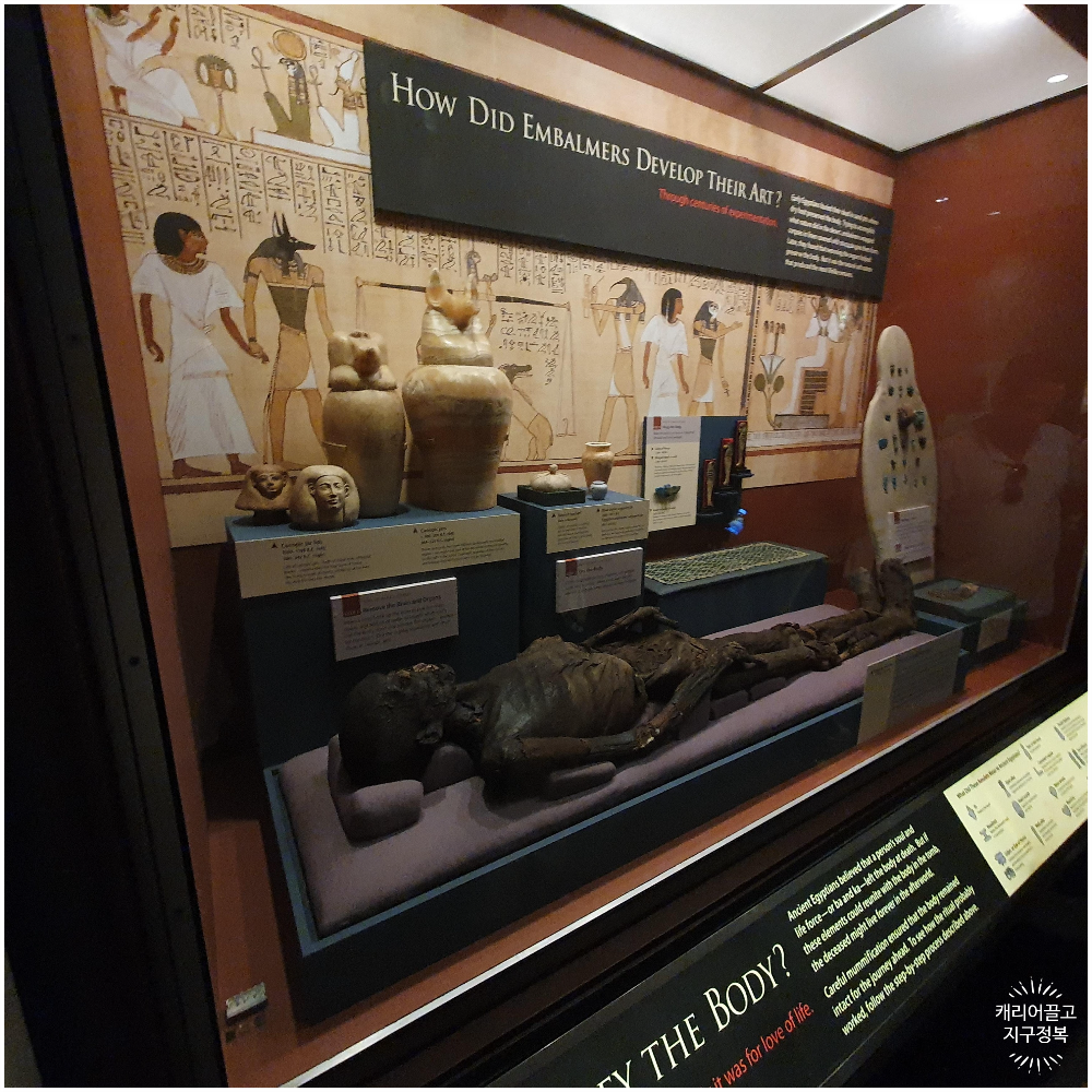 워싱턴 스미스소니언 국립 자연사 박물관