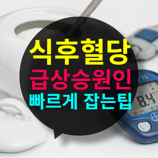 식후 혈당 정상수치 급상승 원인과 빠르게 잡는 팁