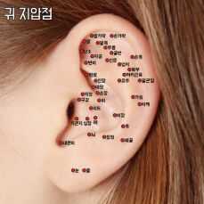 귀 혈자리 위치 지압법