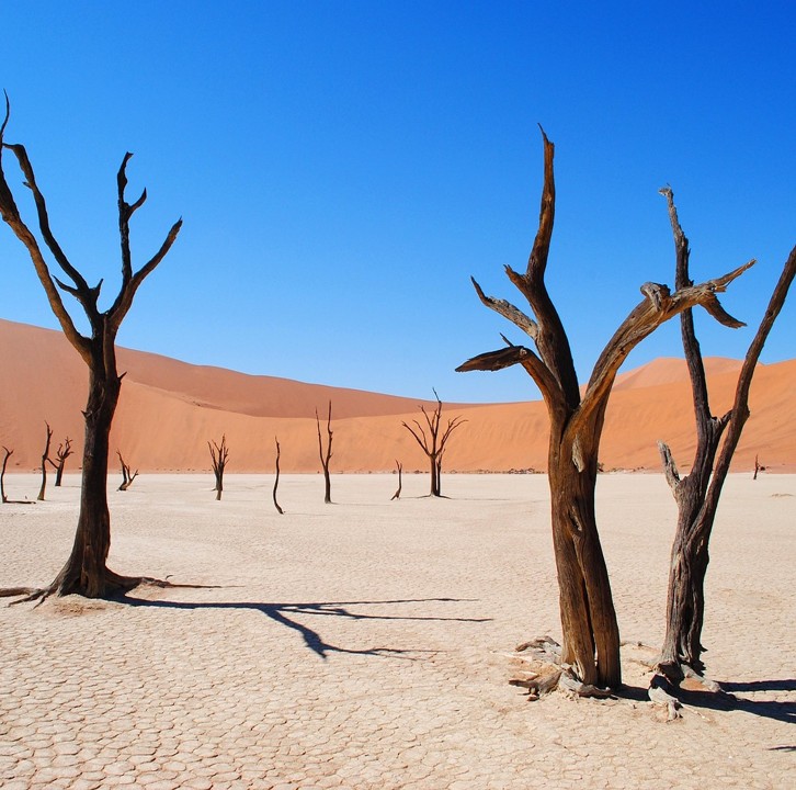 입마름 관련 원인을 설명하는 건강 인포그래픽