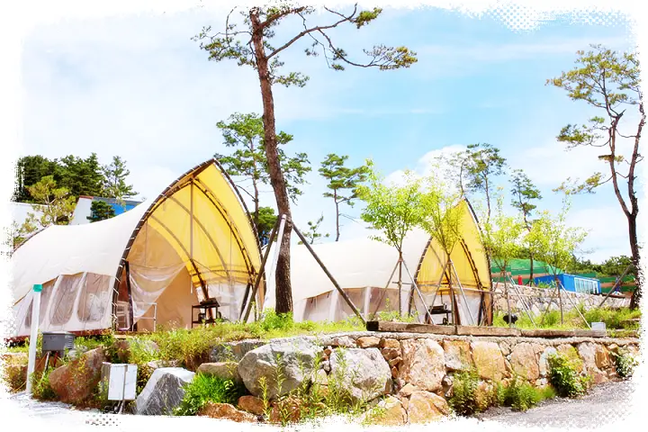 생방송오늘저녁 [청주 오창저수지 캠핑장 추천 및 캠핑 캠퍼 유튜브 소개] 
