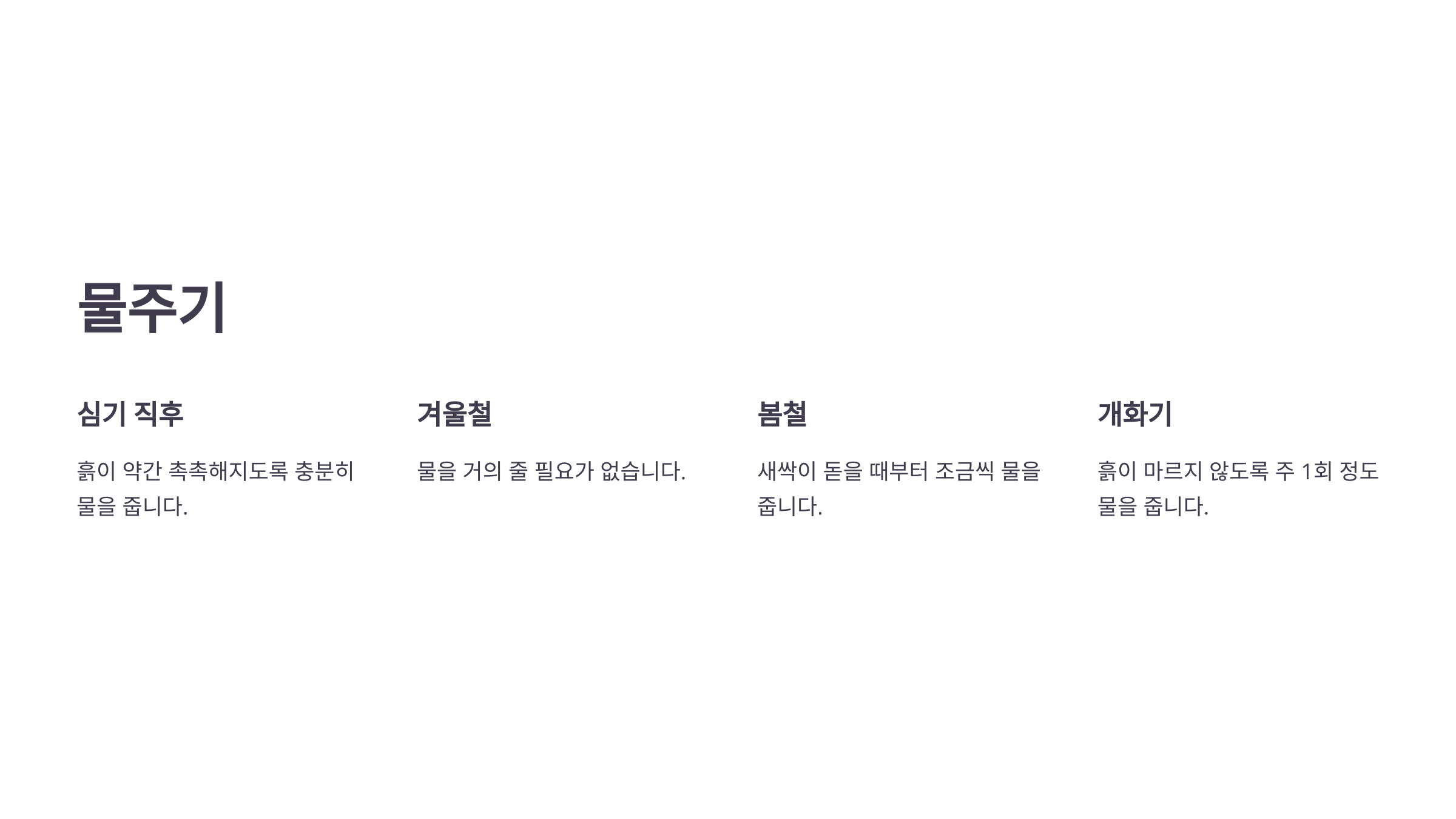 튤립과 관련된 사진입니다.